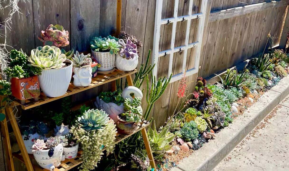 Photo of Outdoor in Bay Ho