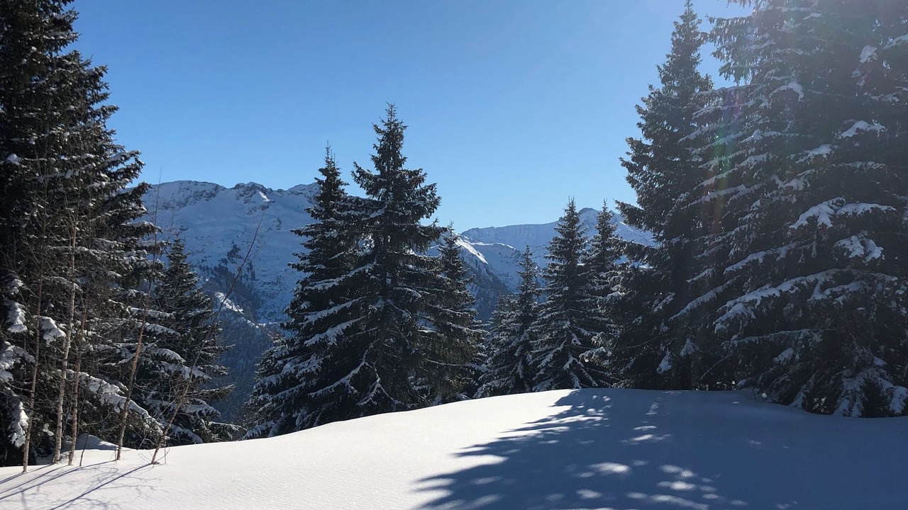 Photo of Others in Les Saisies