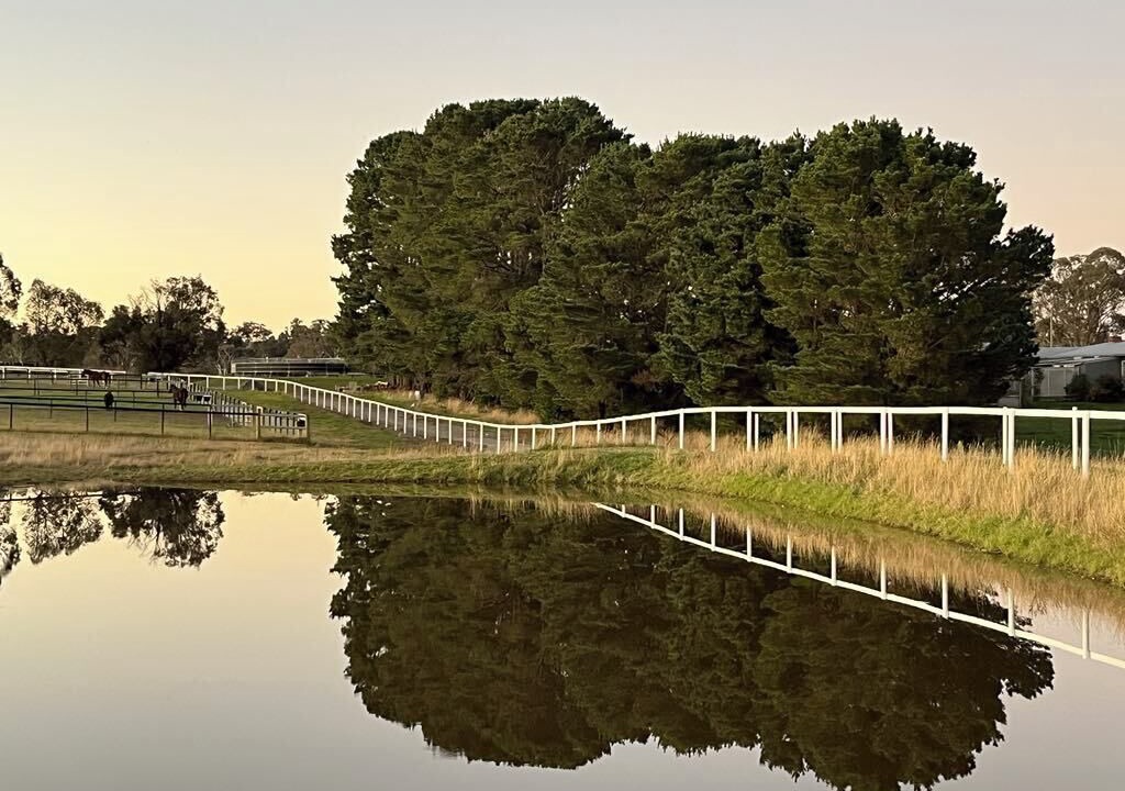 Photo of Others in Gundaroo