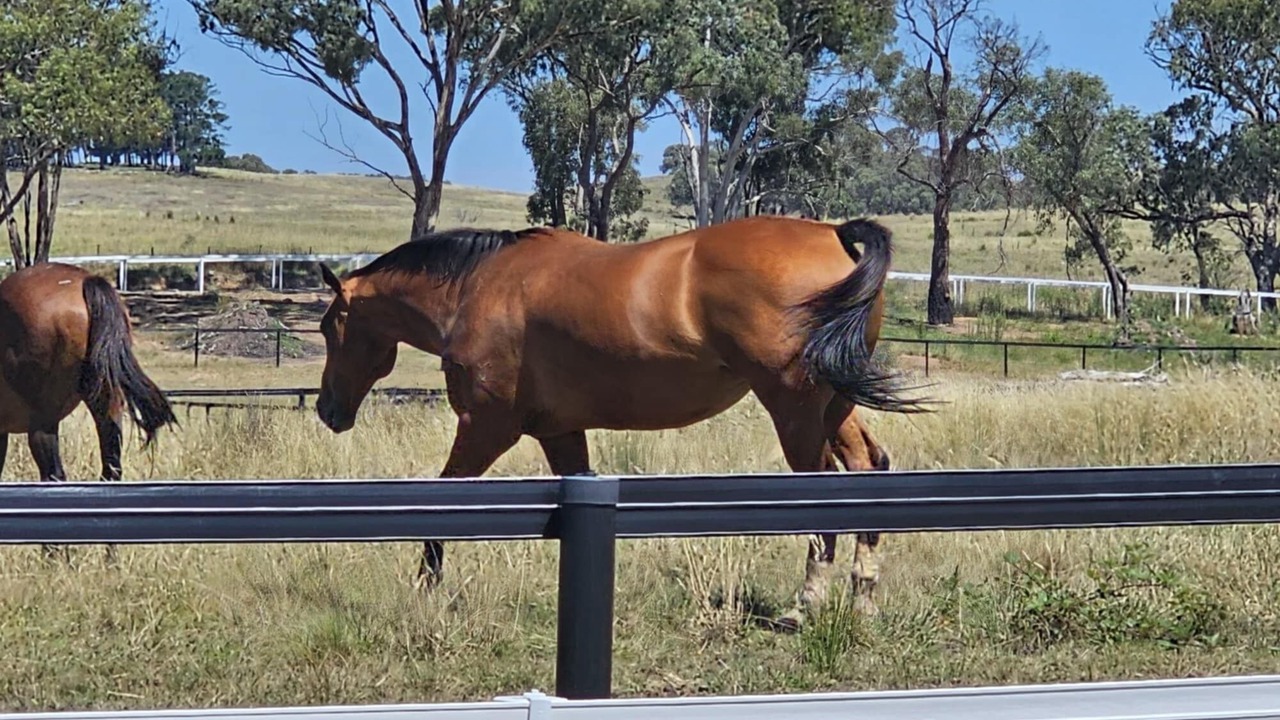 Photo of Others in Gundaroo