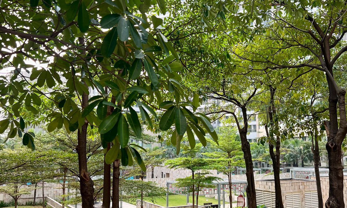 Photo of Outdoor in Jakarta