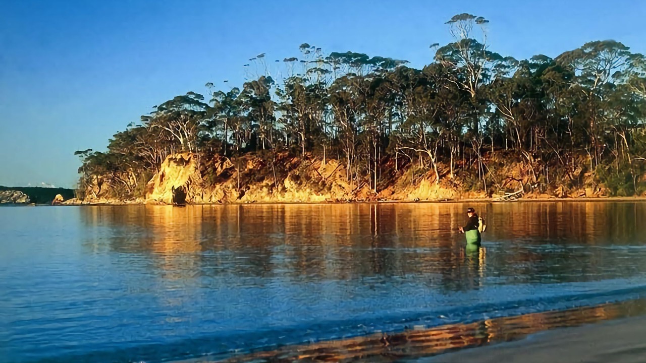 Photo of Others in Maloneys Beach
