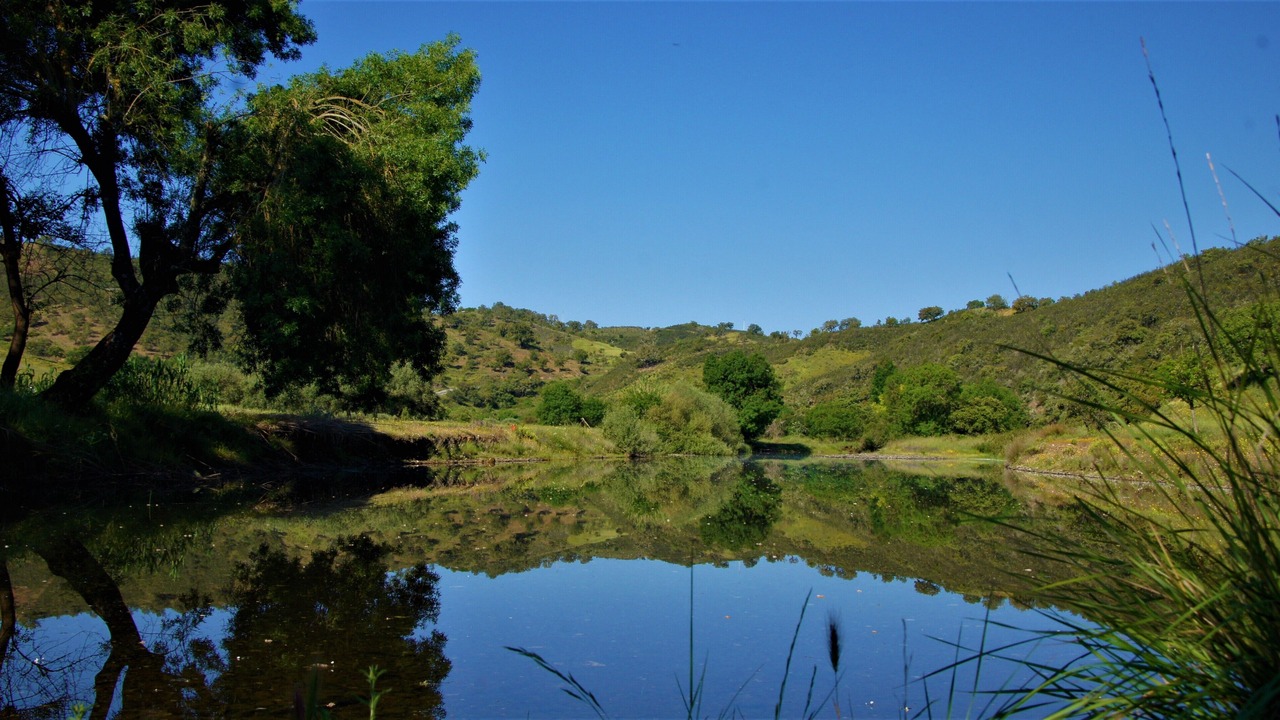 Photo of Others in Cortelha