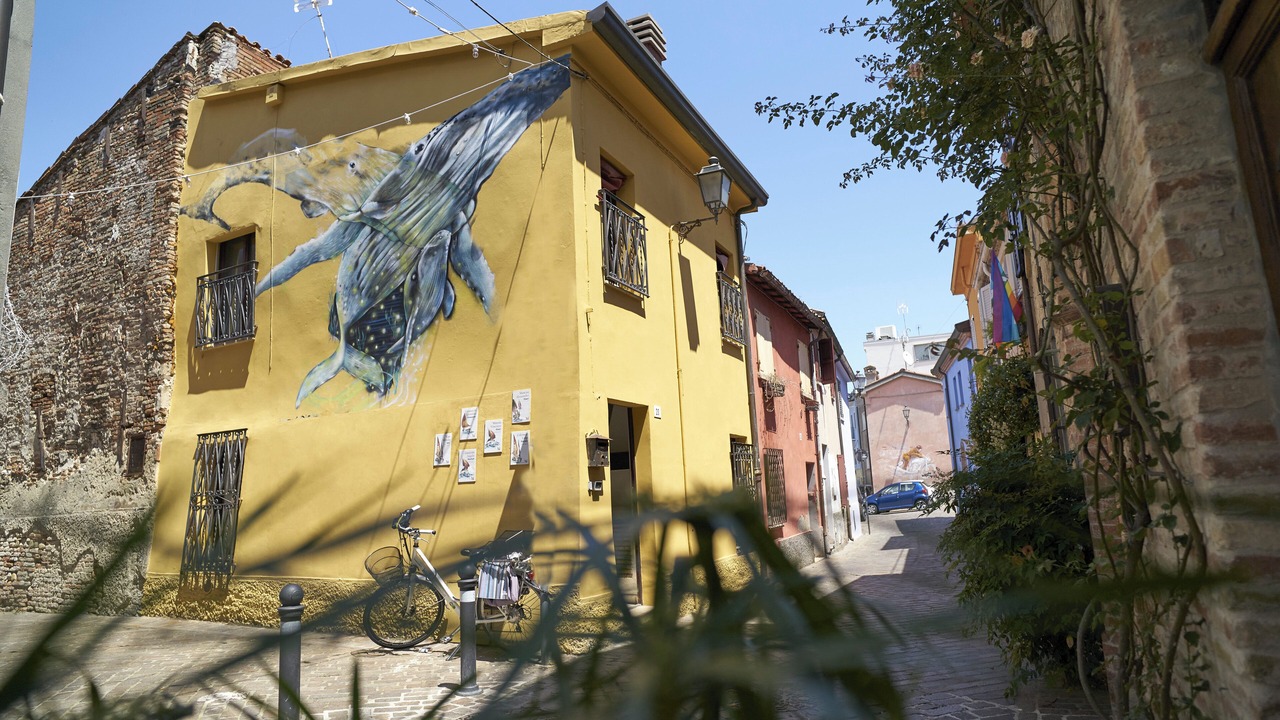 Photo of Outdoor in San Giuliano a Mare