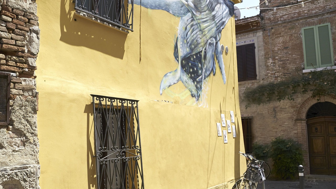 Photo of Outdoor in San Giuliano a Mare