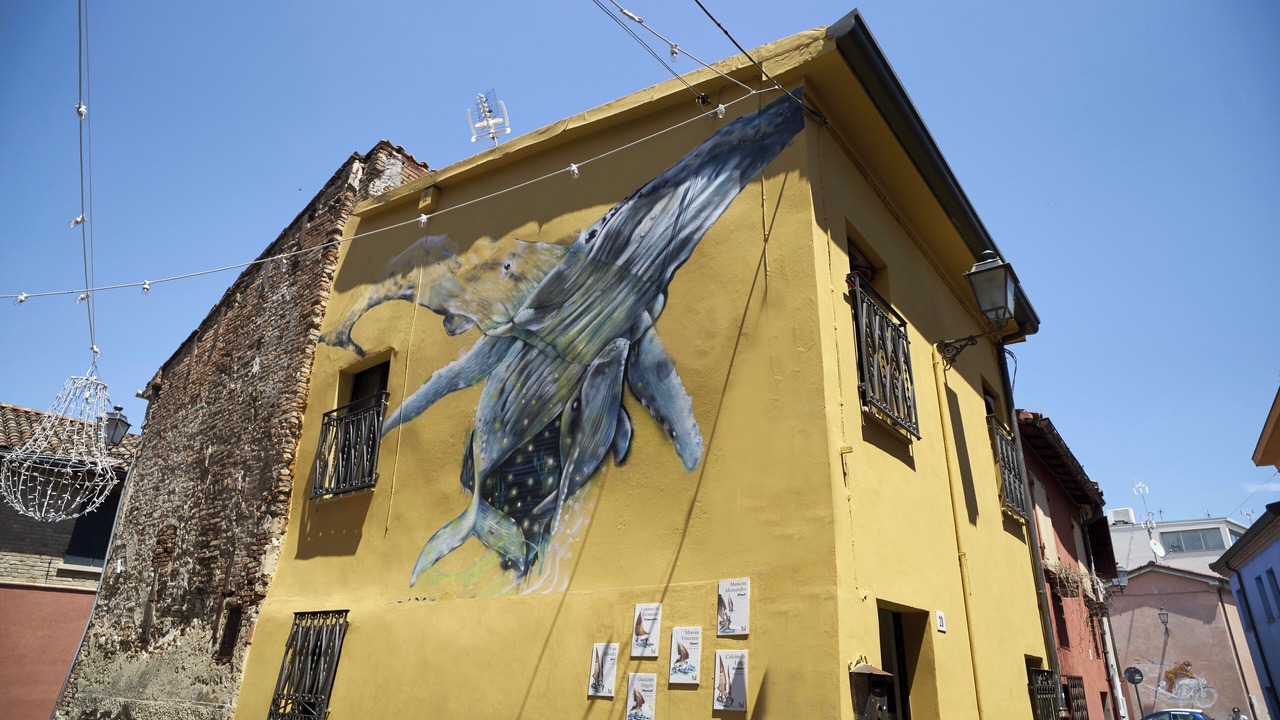 Photo of Outdoor in San Giuliano a Mare