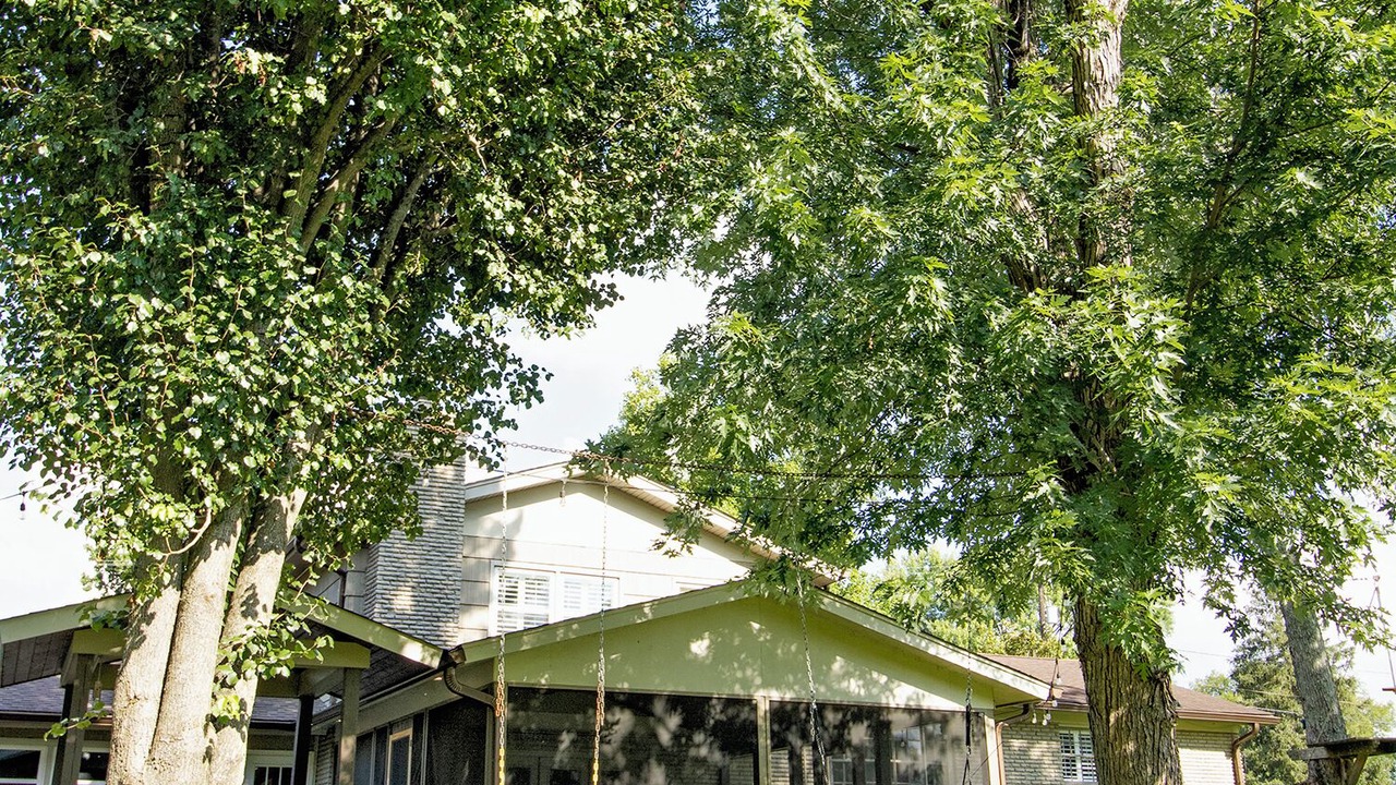 Photo of Outdoor in Hendersonville