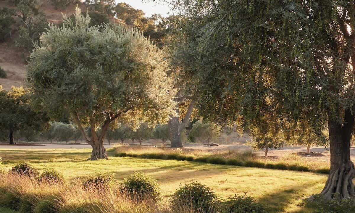 Photo of Others in Santa Barbara