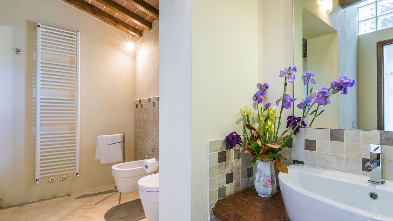 Photo of Bathroom in Lucciana
