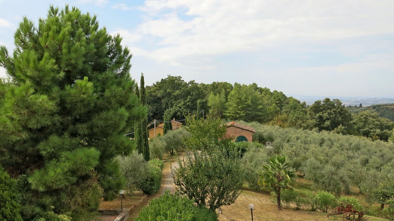 Photo of Others in Palaia