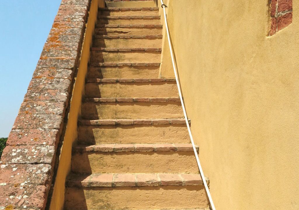 Photo of Others in Palaia