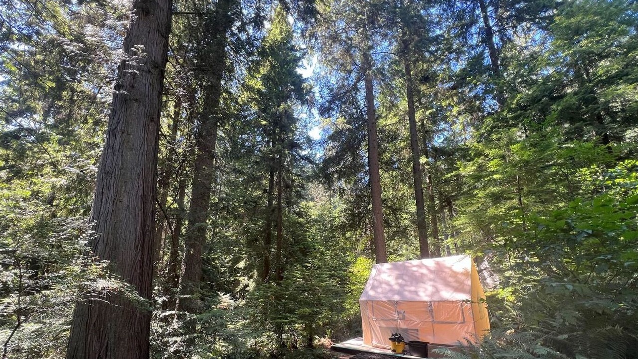 Photo of Outdoor in Port Moody