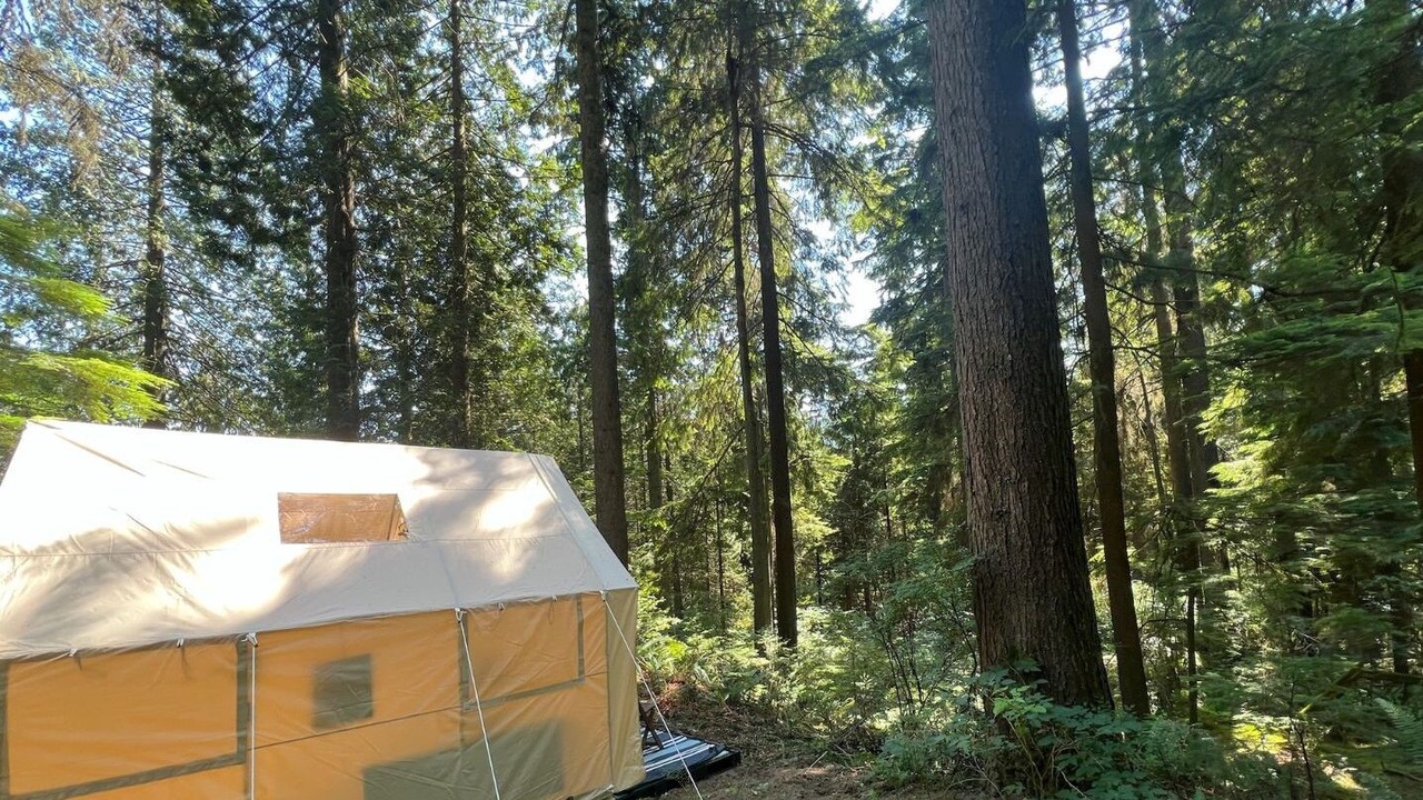 Photo of Outdoor in Port Moody