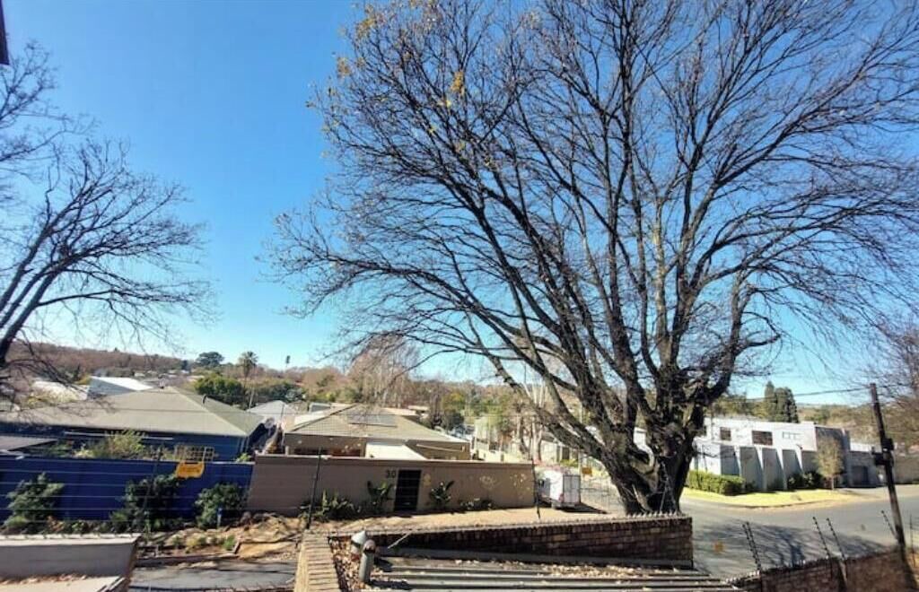 Photo of Outdoor in Norwood
