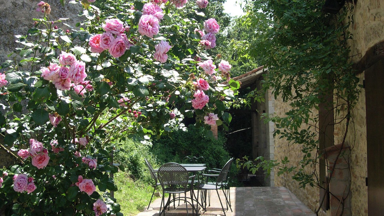 Photo of Outdoor in Zocca