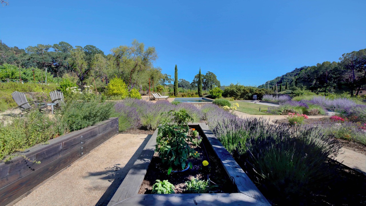 Photo of Outdoor in Yountville