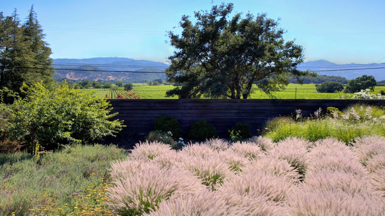 Photo of Outdoor in Yountville