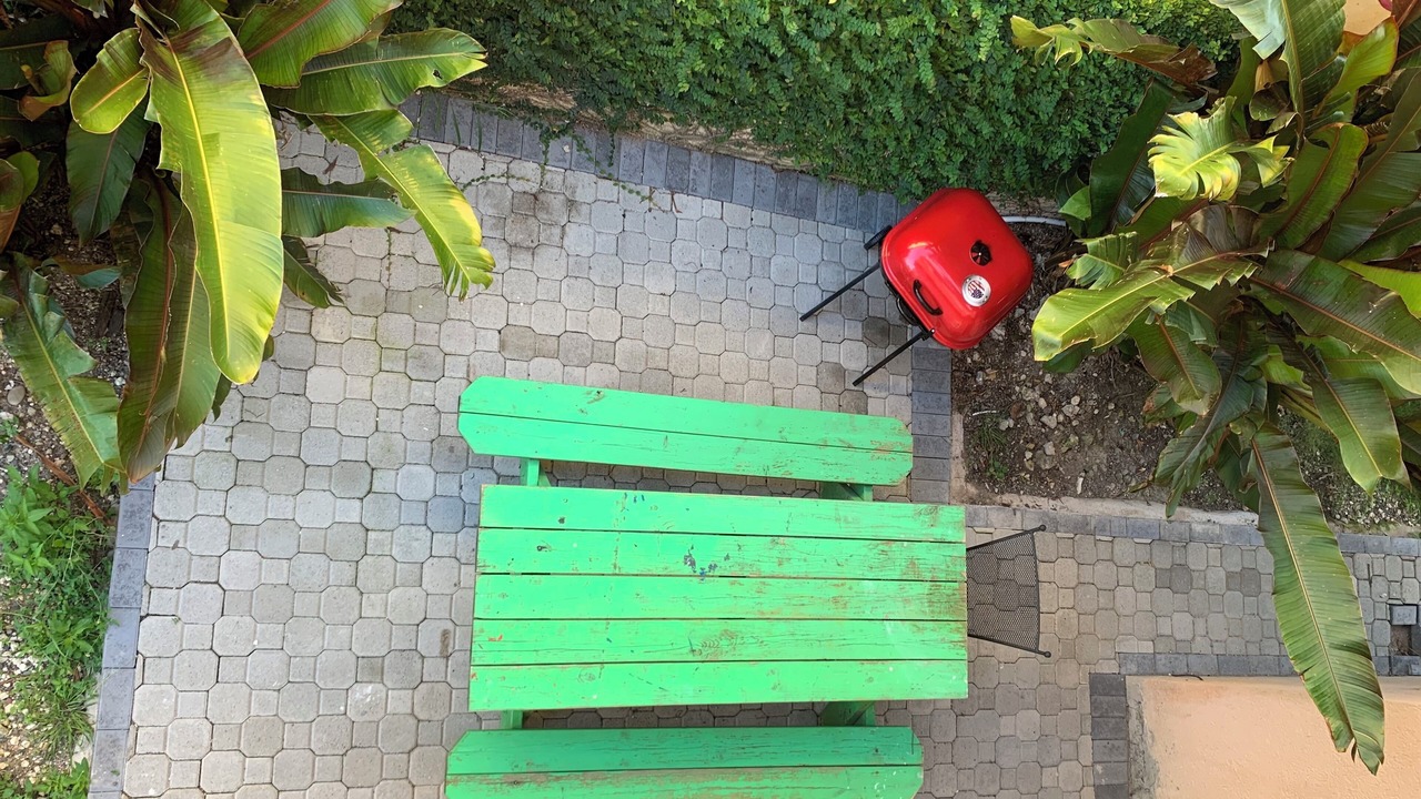 Photo of Outdoor in Mammee Bay