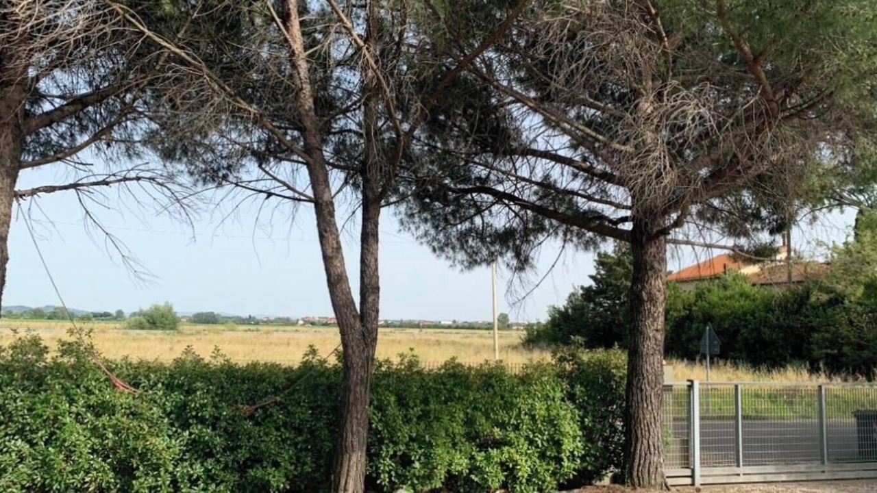 Photo of Outdoor in Pontedera
