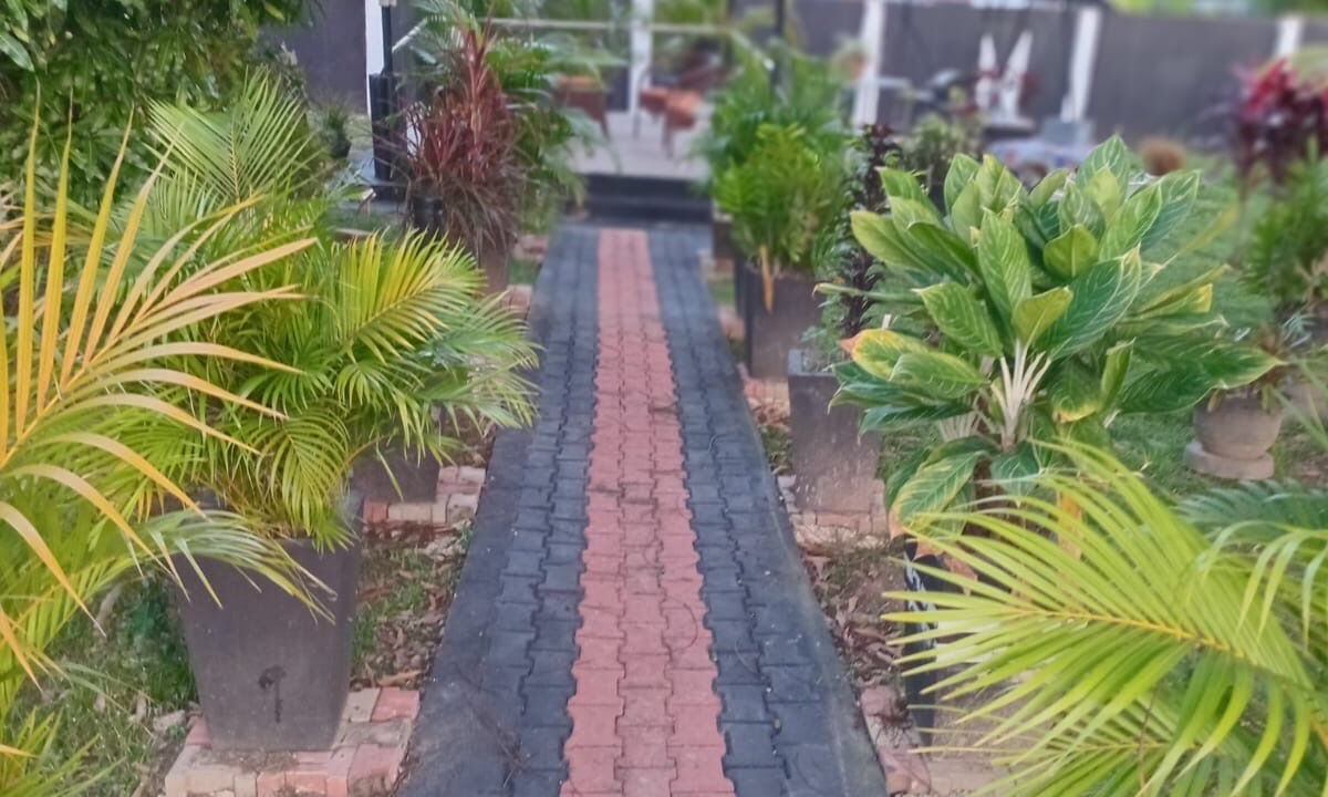 Photo of Outdoor in Arouca