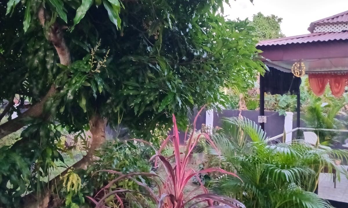 Photo of Outdoor in Arouca