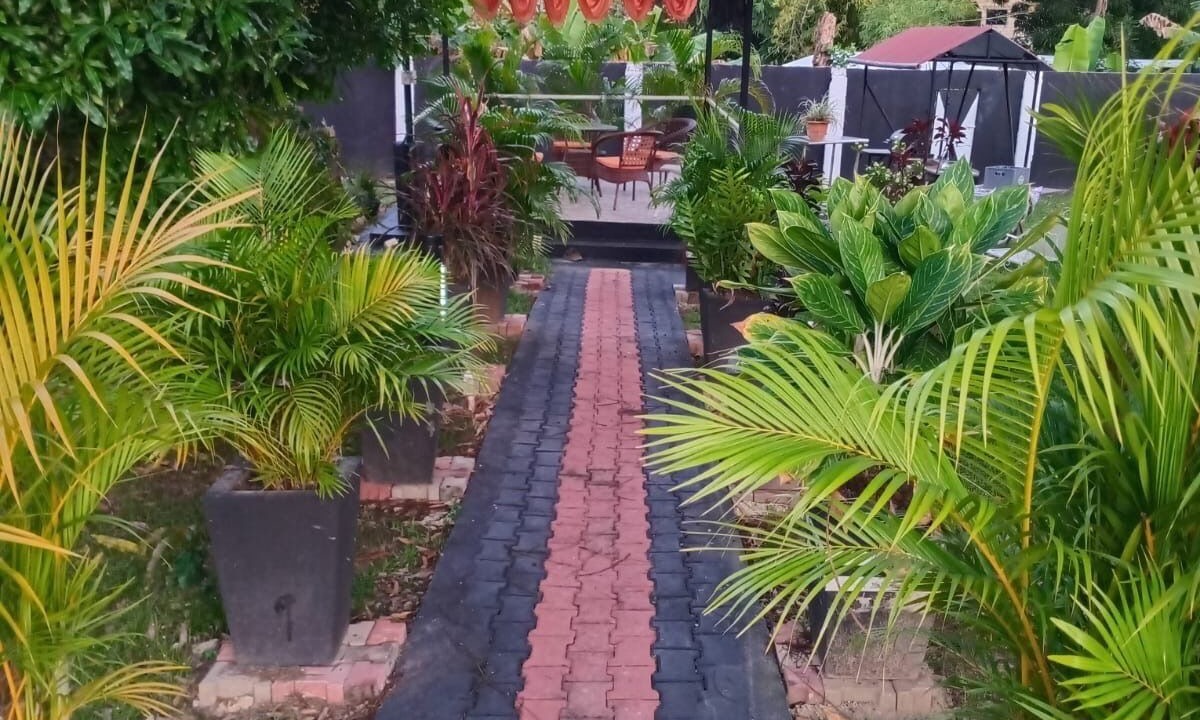Photo of Patio Balcony in Arouca