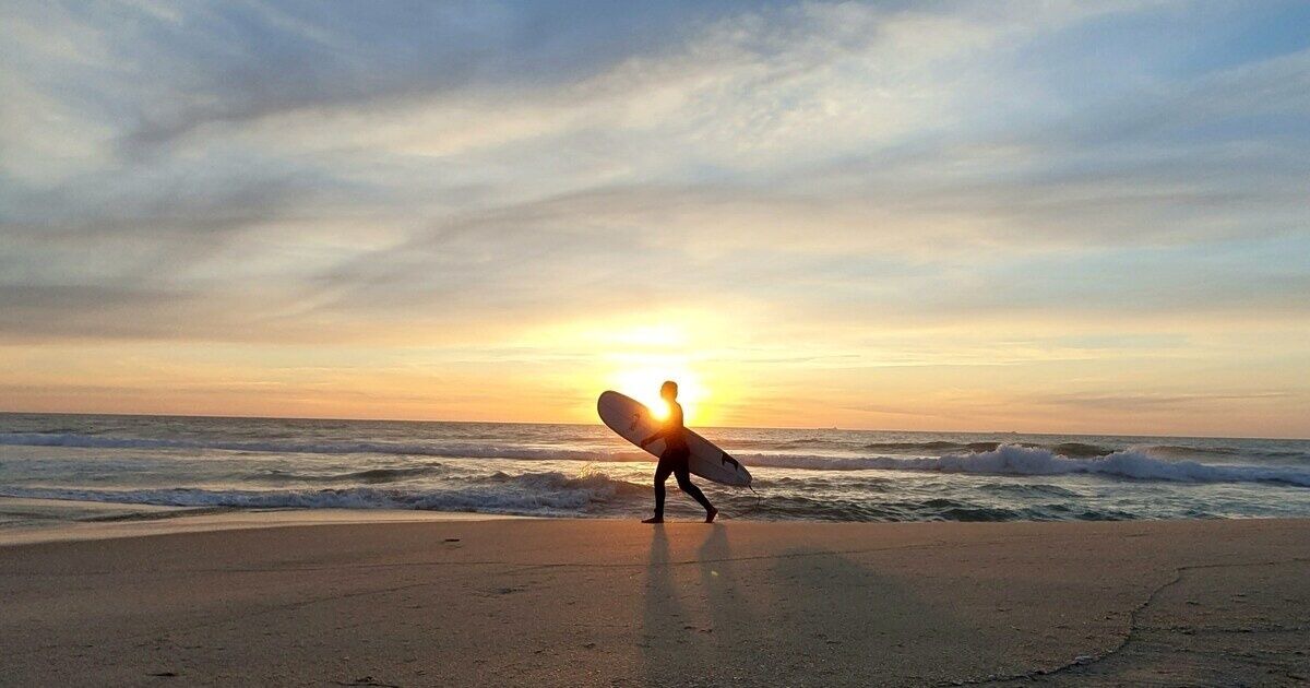 Photo of Others in Scarborough