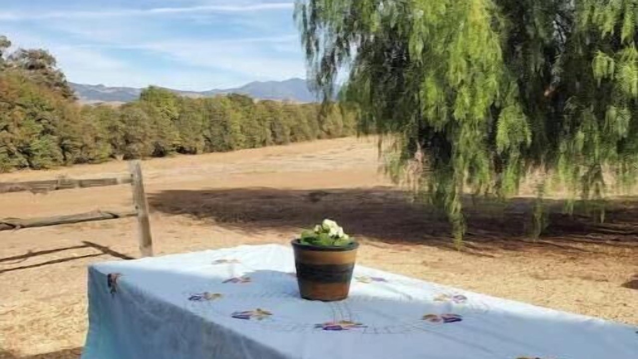 Photo of Outdoor in Santa Ynez