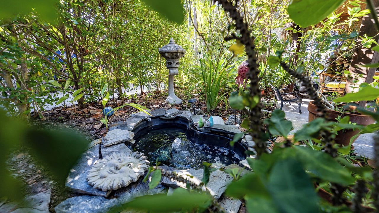 Photo of Outdoor in North Beach