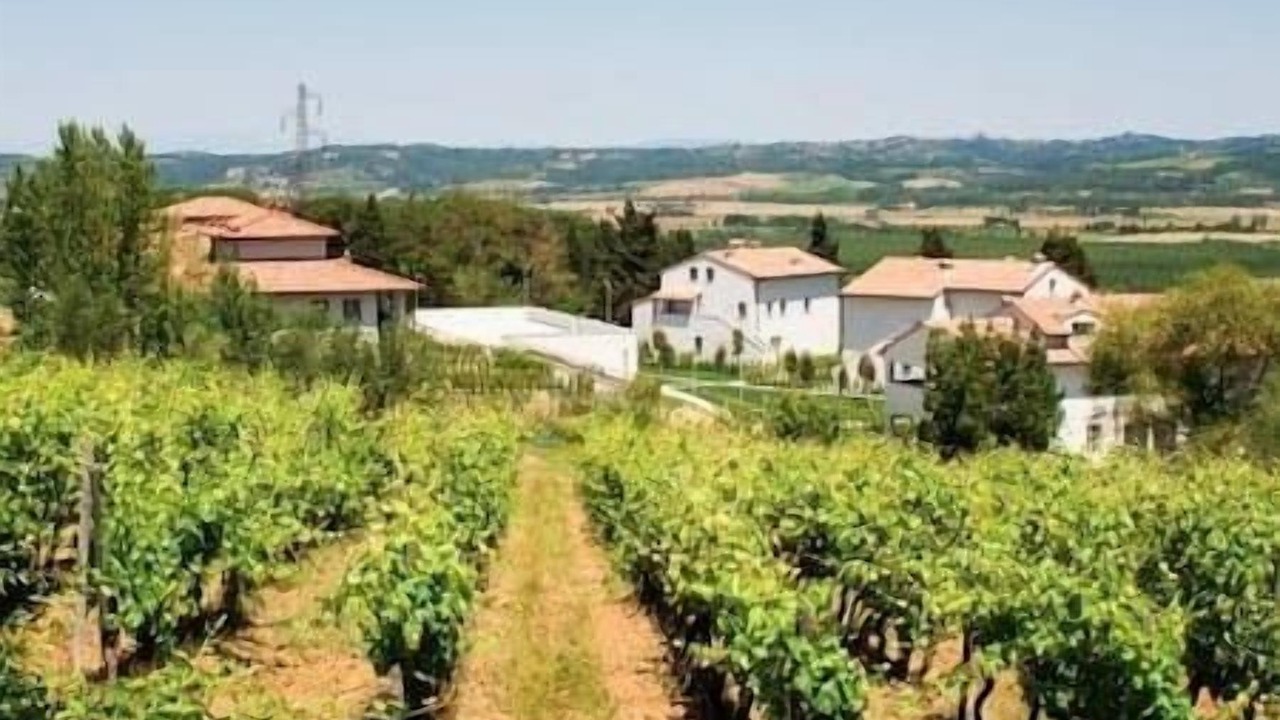 Photo of Outdoor in Selvatelle