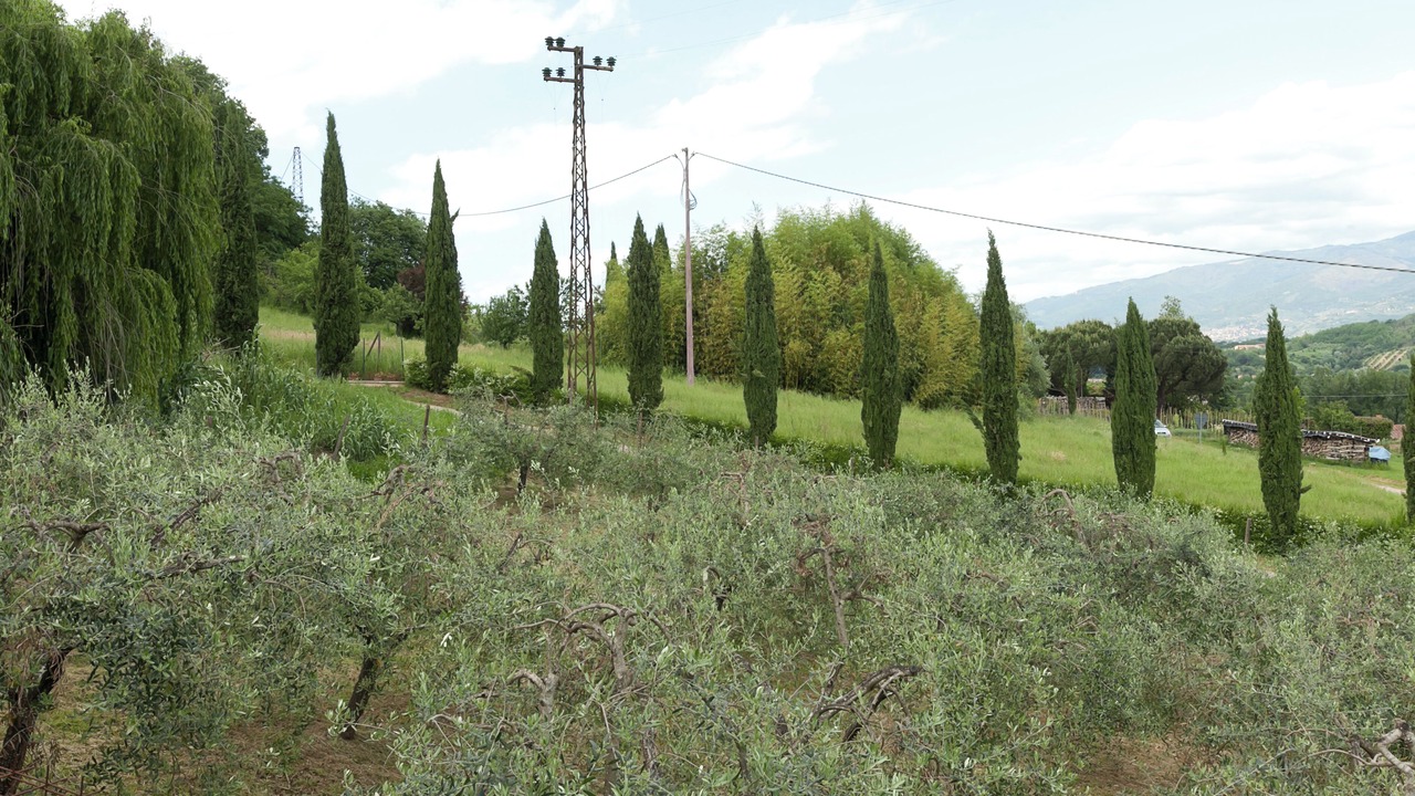 Photo of Outdoor in Figline e Incisa Valdarno