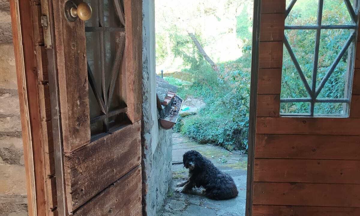 Photo of Others in Pennabilli