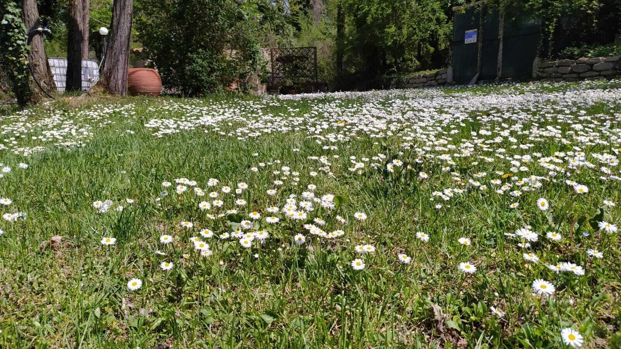 Photo of Outdoor in Pennabilli