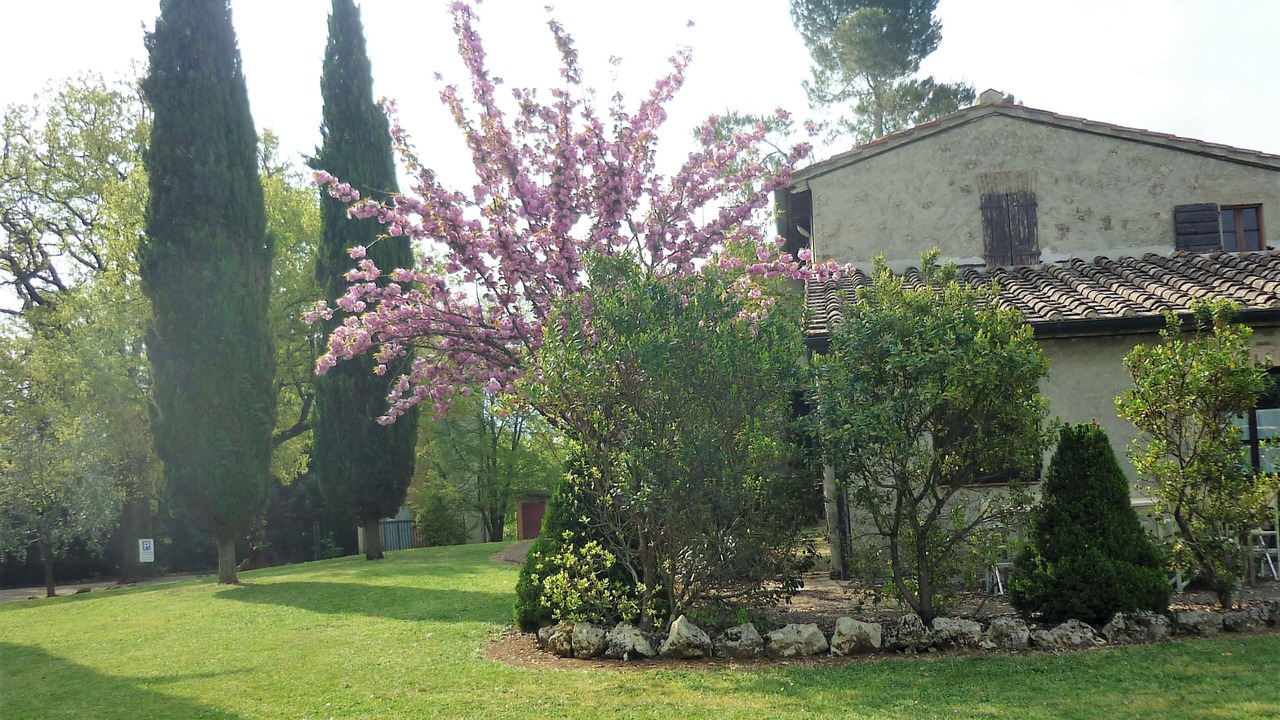 Photo of Outdoor in Colle di Val d'Elsa