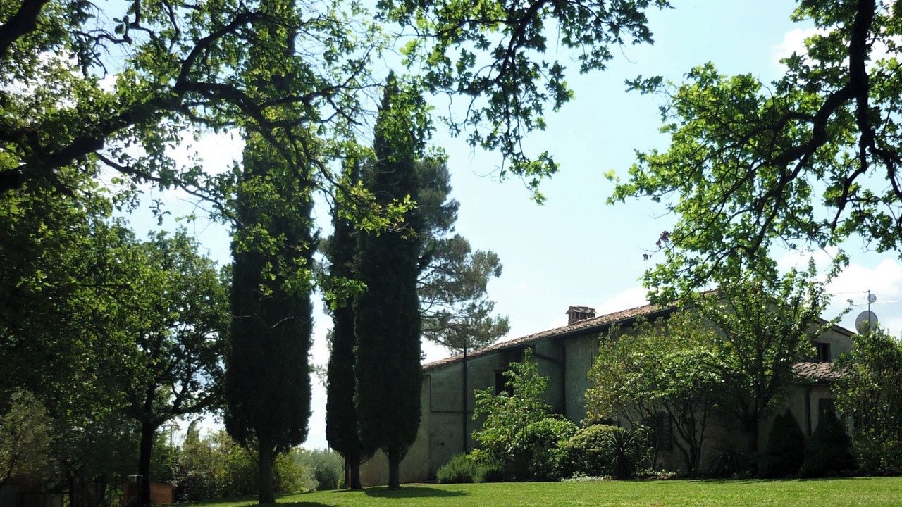 Photo of Outdoor in Colle di Val d'Elsa