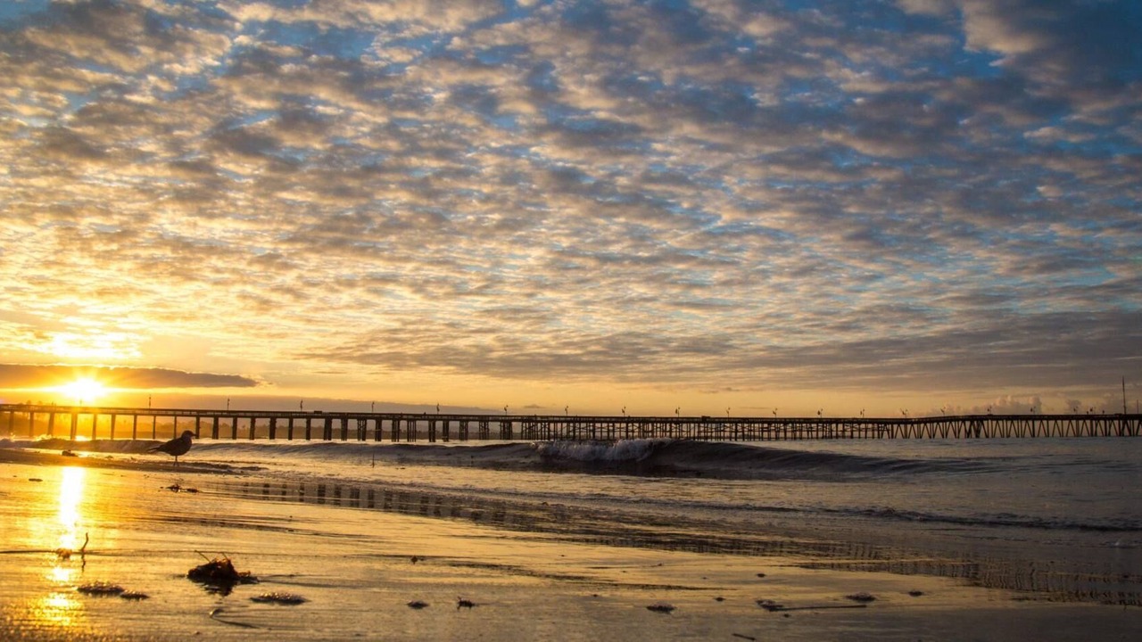 Photo of Others in Ventura