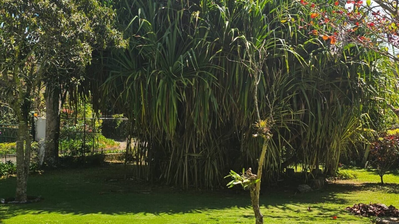 Photo of Outdoor in Porus