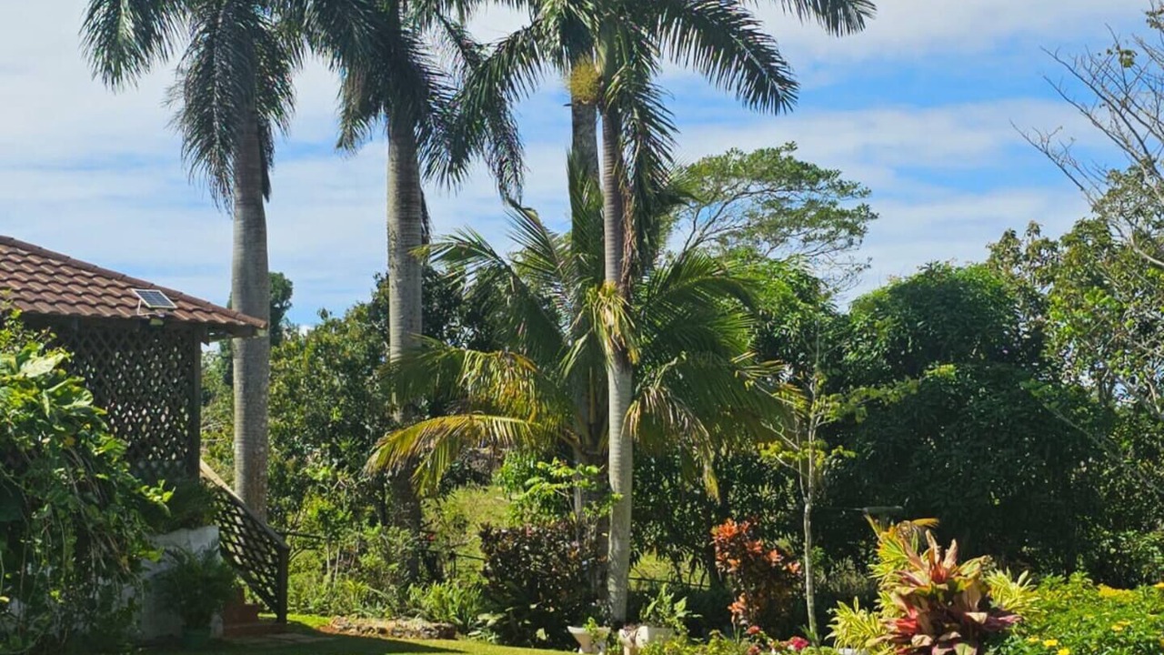 Photo of Outdoor in Porus