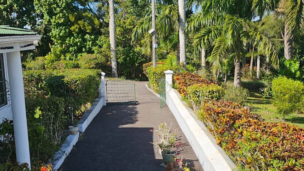 Photo of Outdoor in Porus