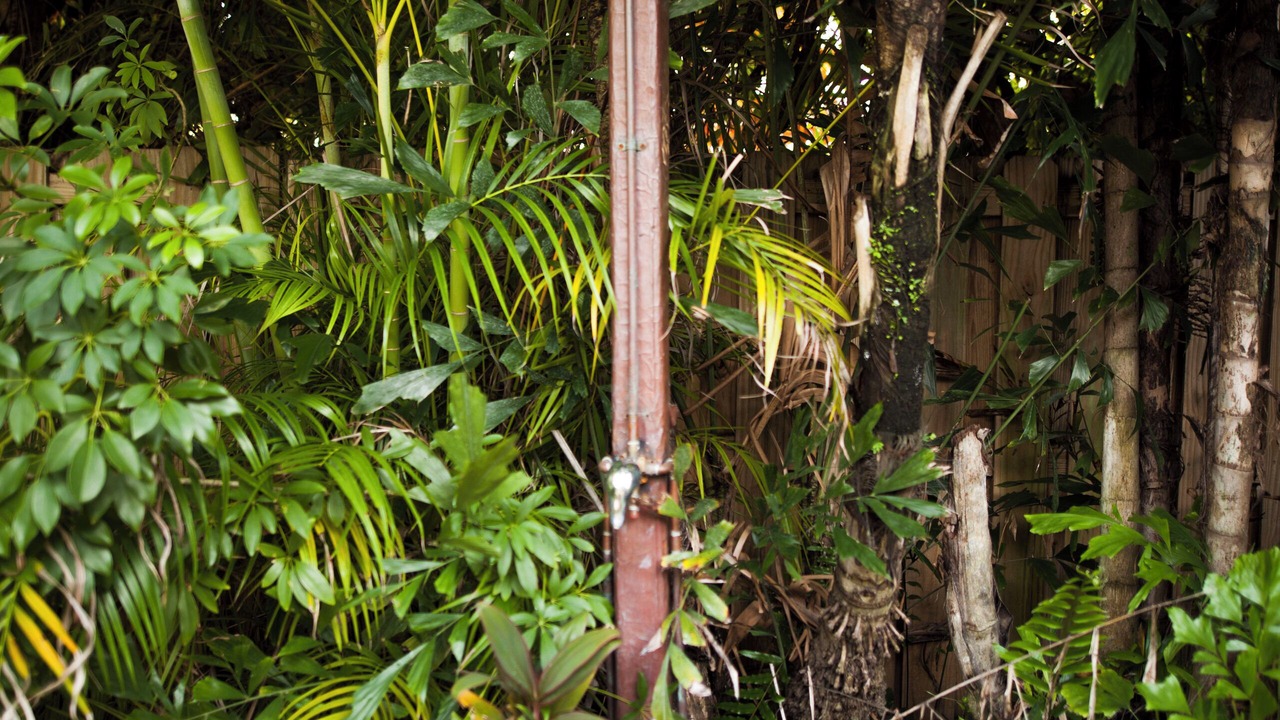 Photo of Outdoor in East Fort Lauderdale