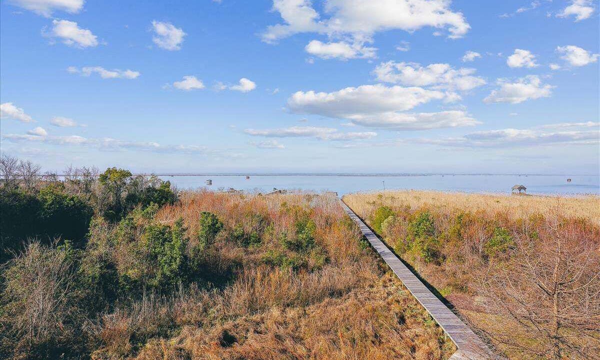 Photo of Outdoor in Monteray Shores