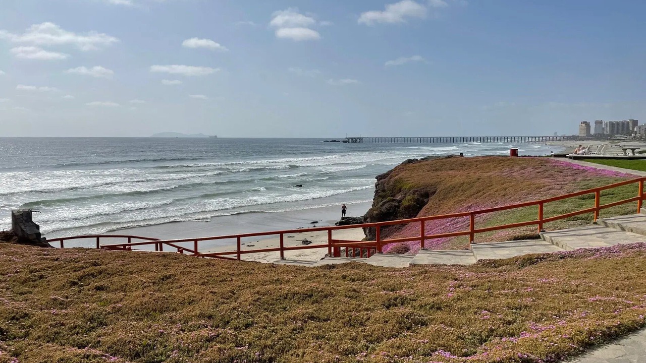 Photo of Others in Rosarito