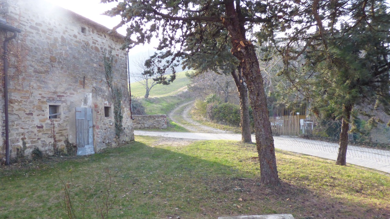 Photo of Outdoor in Loiano