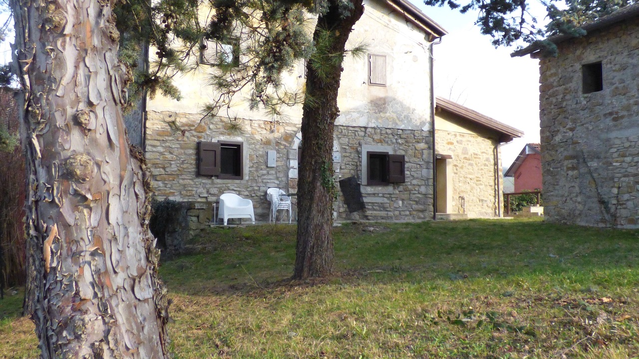 Photo of Outdoor in Loiano