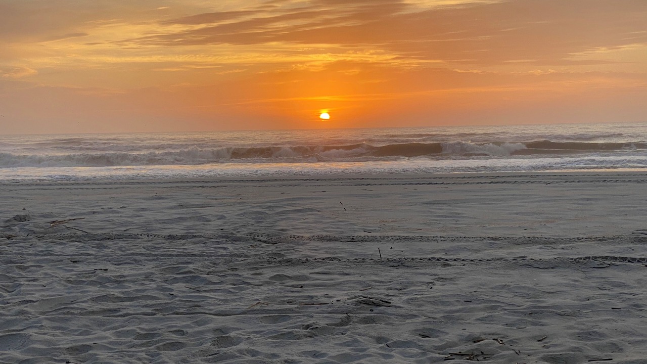 Photo of Others in Atlantic Shores
