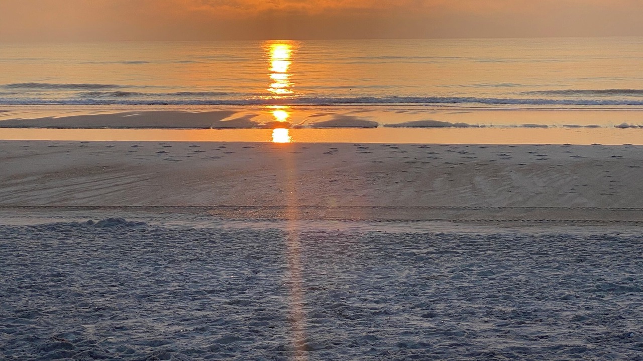 Photo of Others in Atlantic Shores