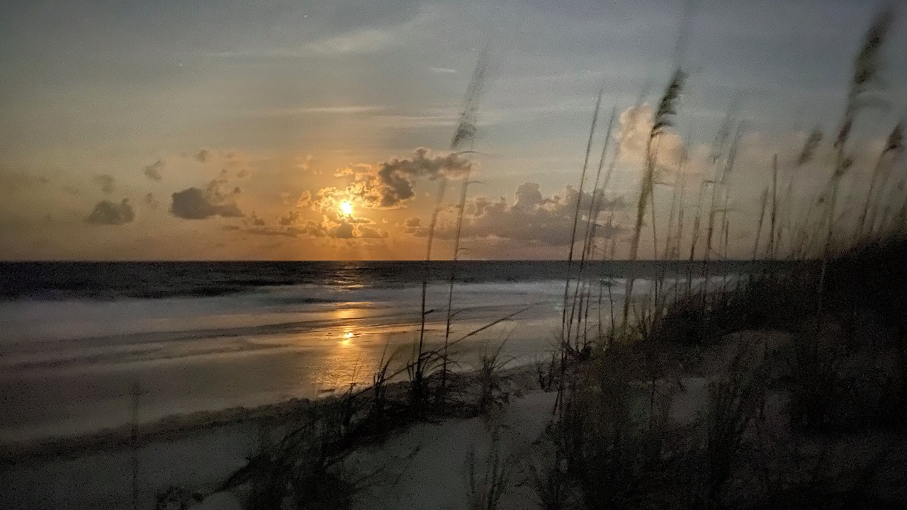 Photo of Others in Atlantic Shores