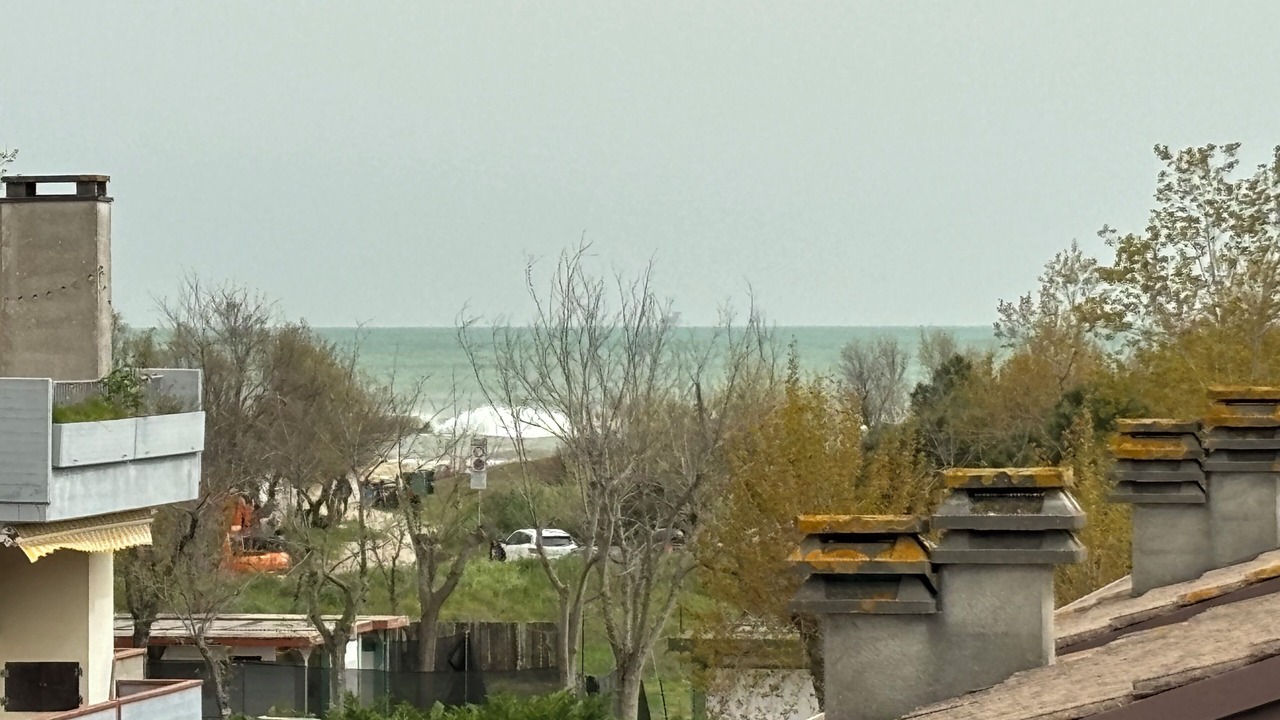 Photo of Others in Castiglione di Cervia