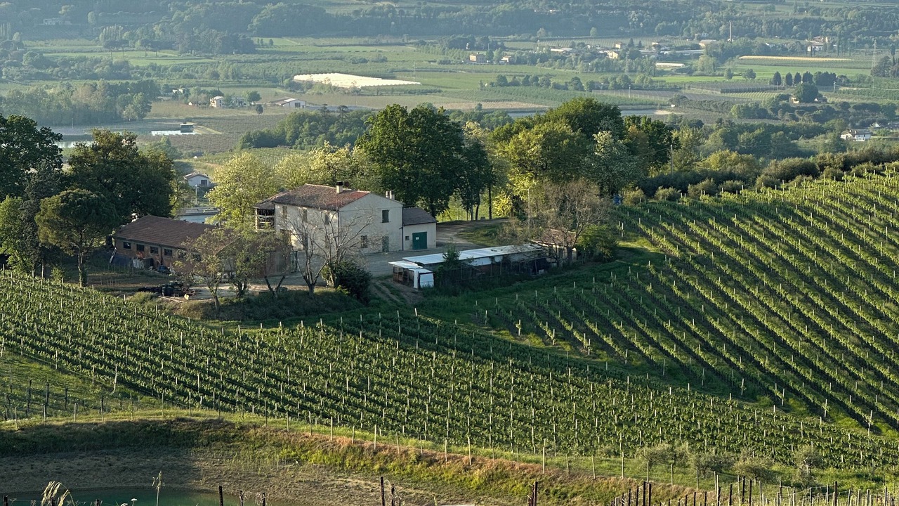 Photo of Outdoor in Oriolo dei Fichi