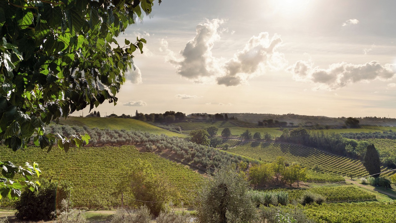 Photo of Outdoor in Gambassi Terme